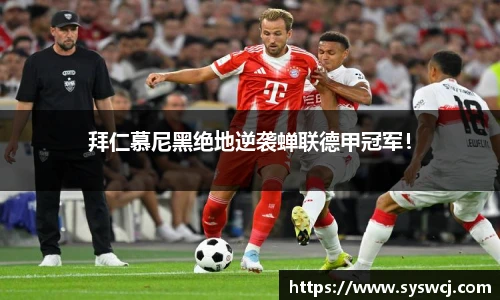 3377体育最新地址