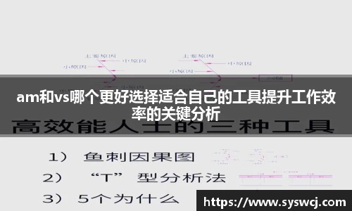 am和vs哪个更好选择适合自己的工具提升工作效率的关键分析
